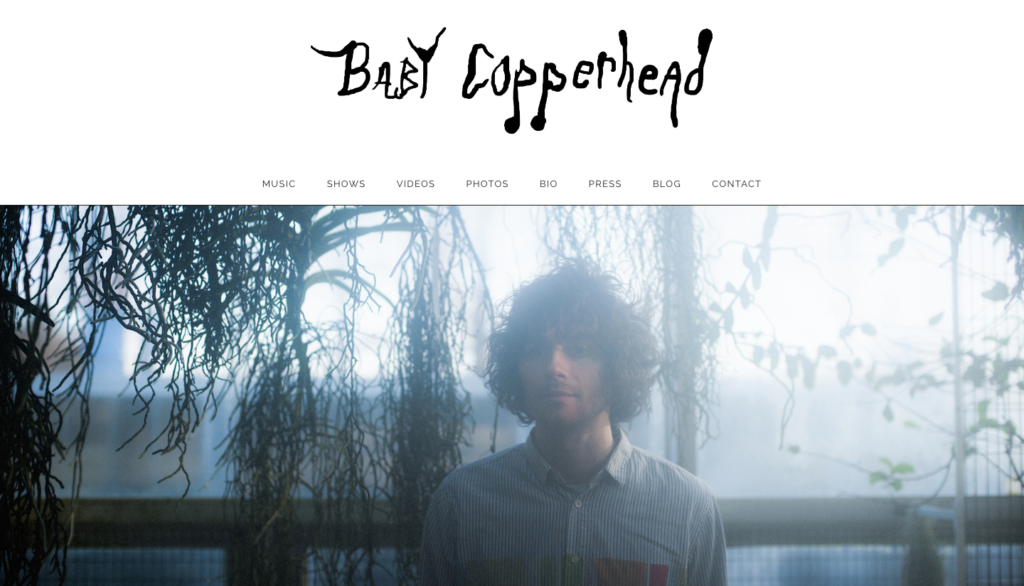 Baby Copperhead Website Landing Page